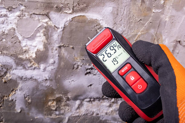 Best Water Damage Restoration  in Durant, MS