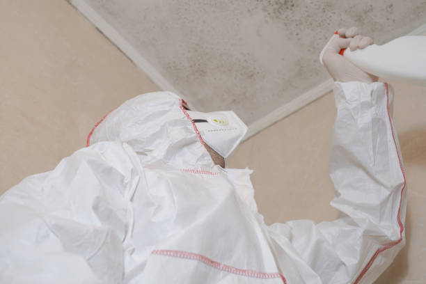 Best Toxic Mold Removal  in Durant, MS